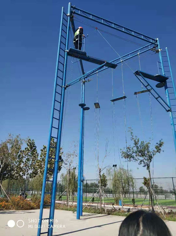 1605755137435901.jpg 4.jpg