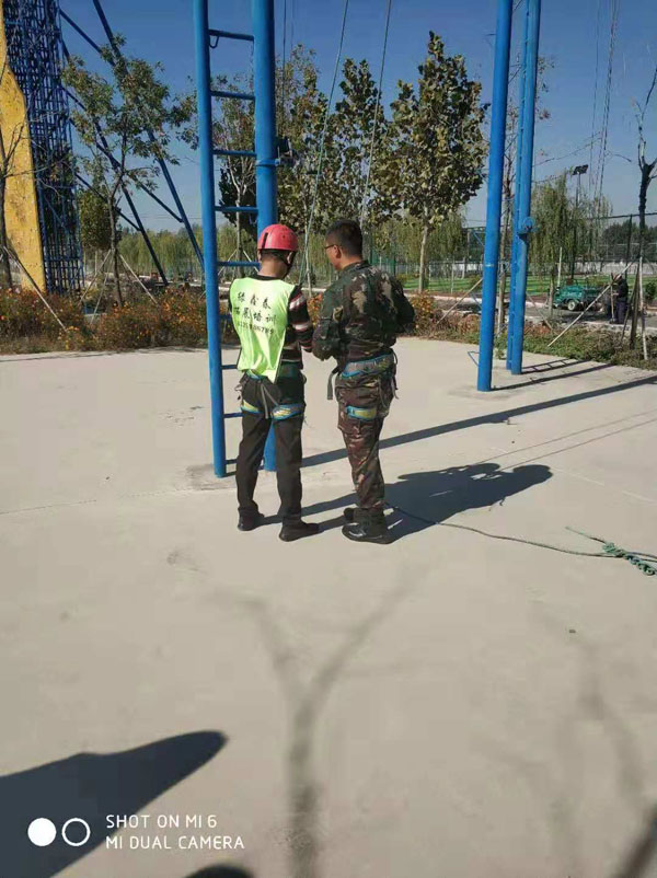 1605755145441246.jpg 5.jpg